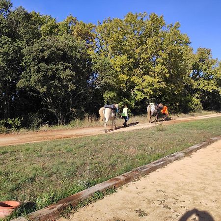 Domaine De La Blaque - B&B Varages Dış mekan fotoğraf