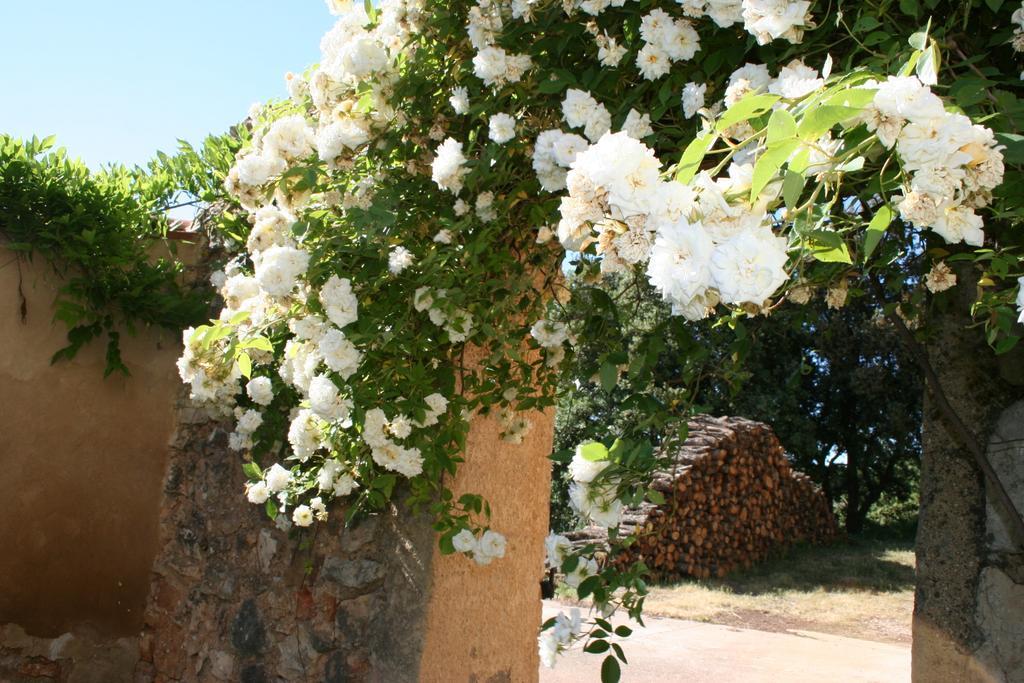 Domaine De La Blaque - B&B Varages Dış mekan fotoğraf