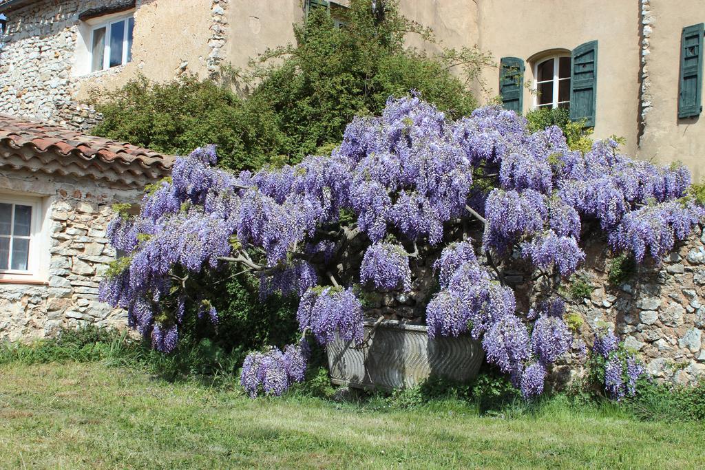 Domaine De La Blaque - B&B Varages Dış mekan fotoğraf